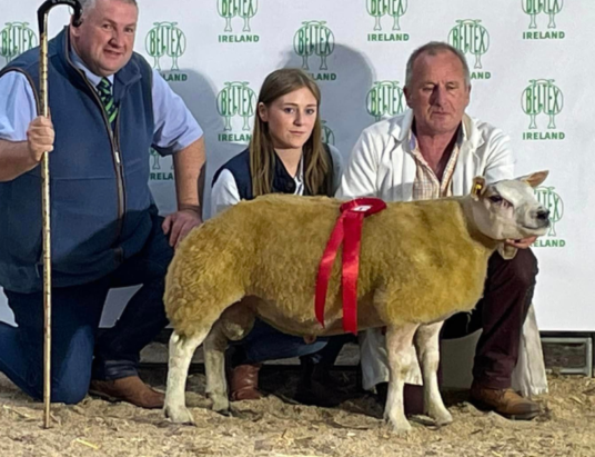 A Spectacle of Agriculture: Belgian Beltex Breeders Society Showcases at Ballinasloe Mart!