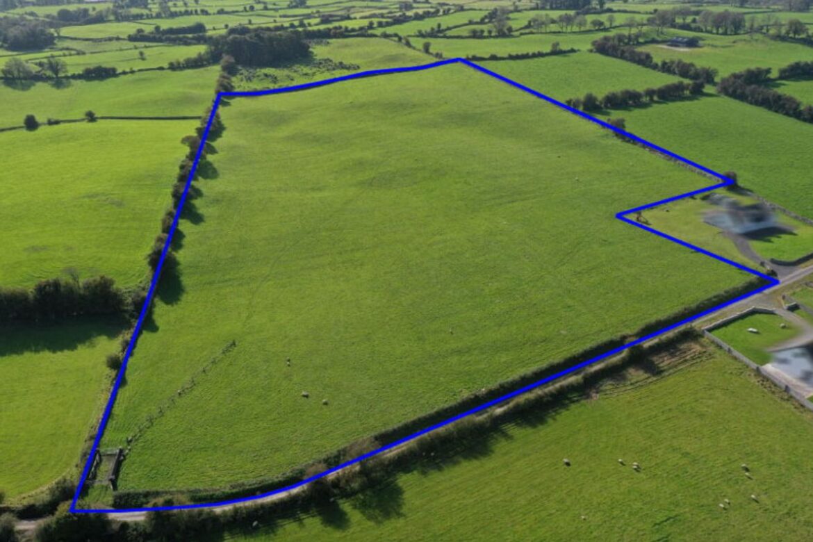 Connaughton Auctioneers to Offer Prime 14.55 Acre Agricultural Parcel in Kiltoom at Live Online Auction | 25.01.2024