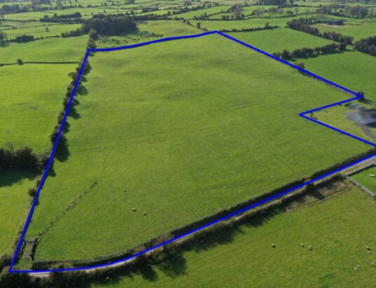 Connaughton Auctioneers to Offer Prime 14.55 Acre Agricultural Parcel in Kiltoom at Live Online Auction | 25.01.2024